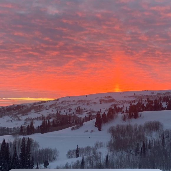 Meet your Posher, Shannon - Picture 4 of 17